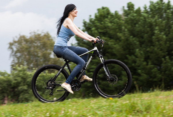 Велогибрид eltreco leisger md5 basic