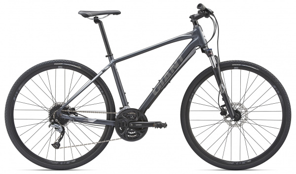 Велосипед Giant Roam 2 Disc (2019)